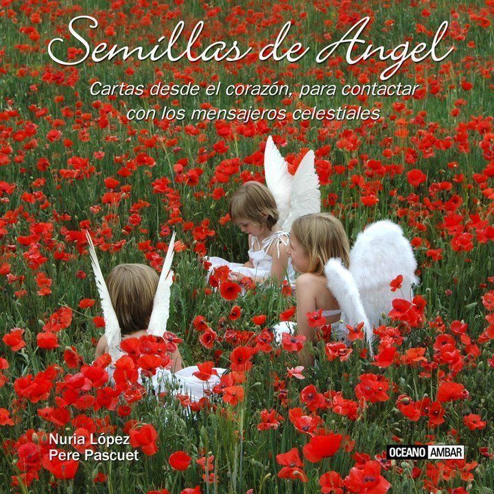 Semillas de Ángel