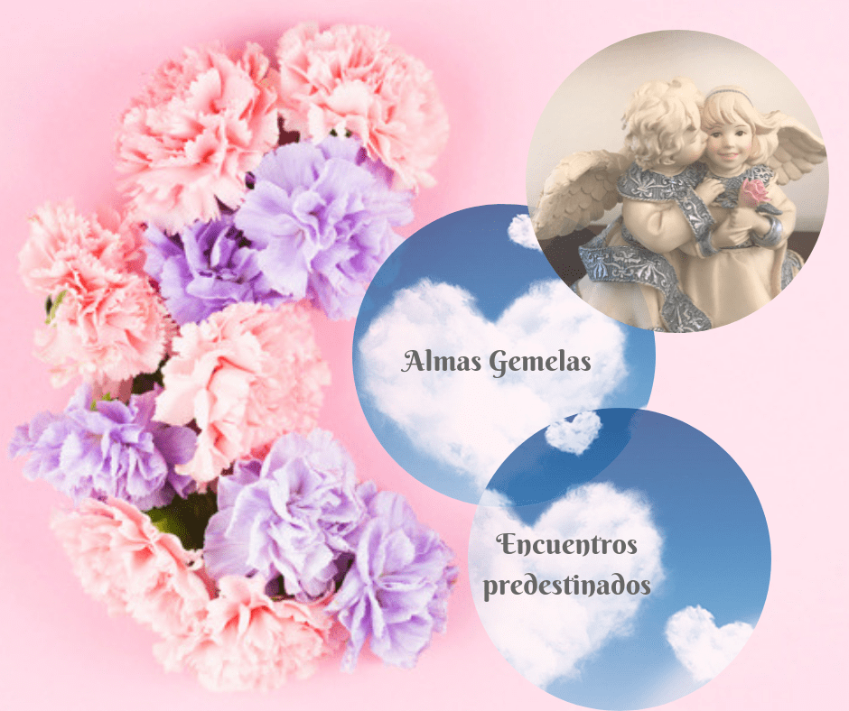 Almas Gemelas Curso Online