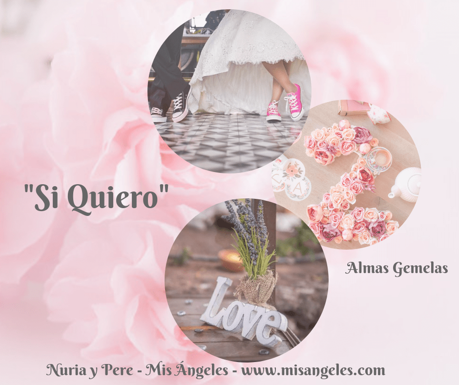 Almas Gemelas Curso Online Si quiero