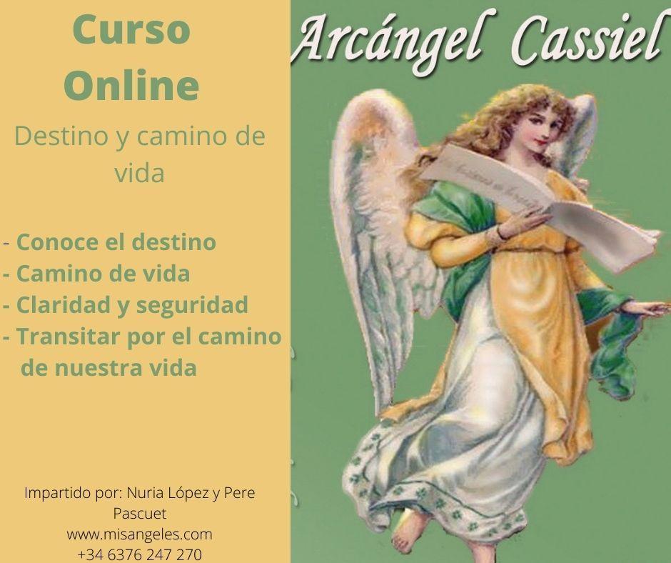 Curso Online