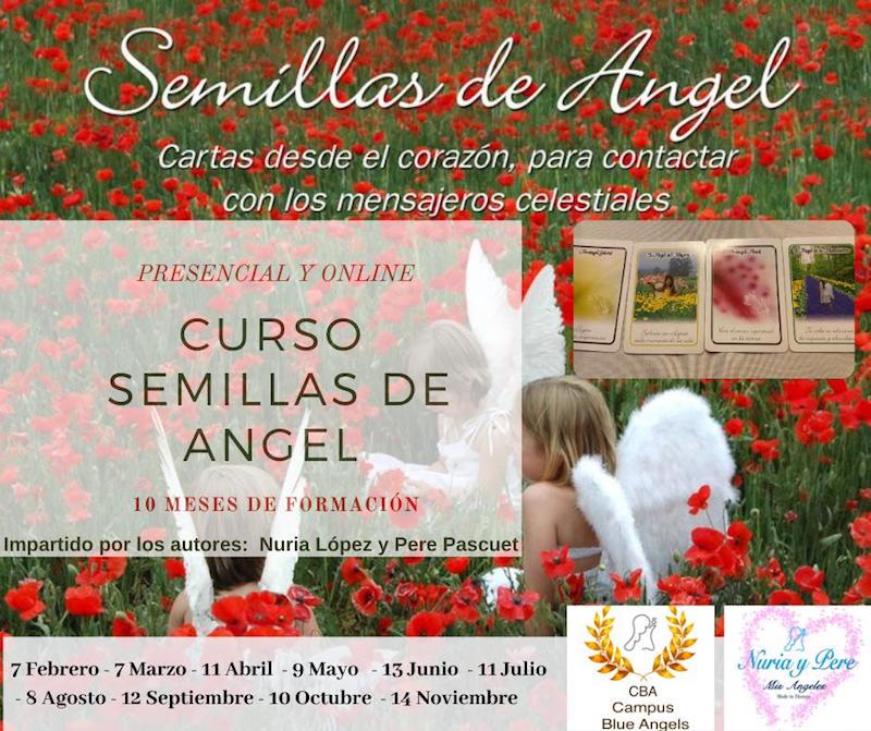 Curso online Tarot de ángeles